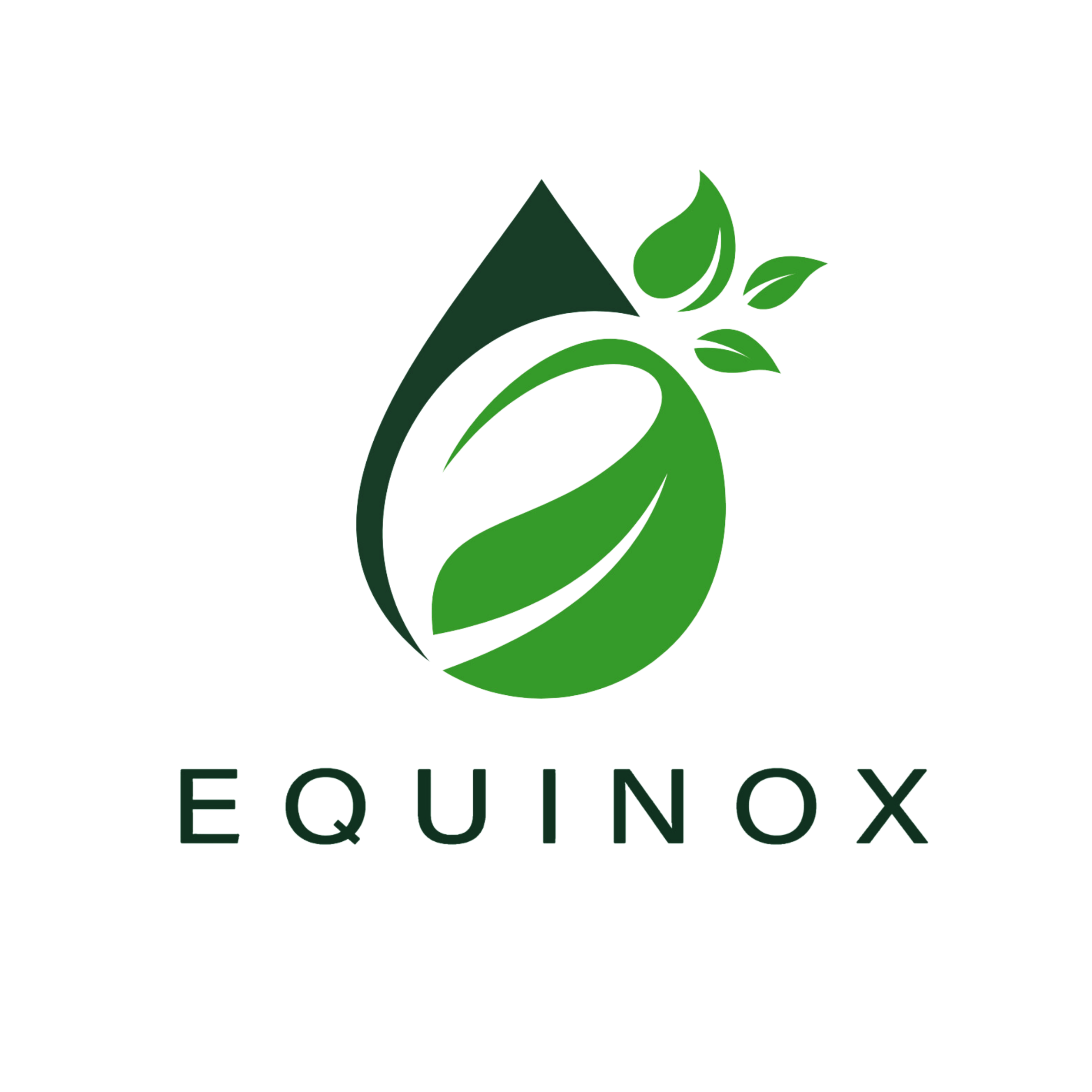 Equinox Environmental Solutions Corporation